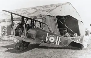Single Seat: Sopwith Camel F-1