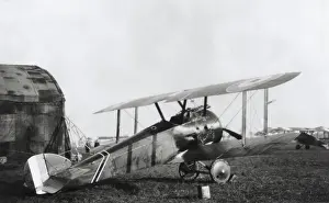 Single Seat: Sopwith Camel F-1