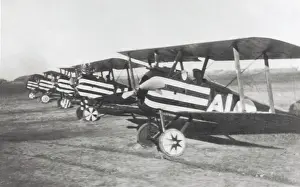 Single Seat: Sopwith Camel F-1