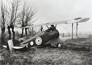 Single Seat: Sopwith Camel F-1