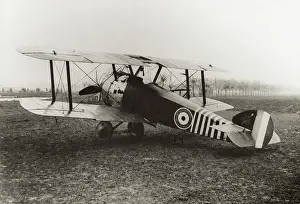 Single Seat: Sopwith Camel F-1