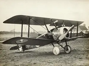 Single Seat: Sopwith Camel F-1