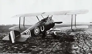 Single Seat: Sopwith Camel F-1