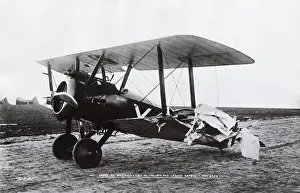 Single Seat: Sopwith Camel F-1