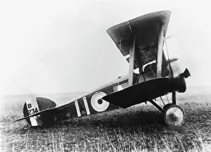 Single Seat: Sopwith Camel F-1