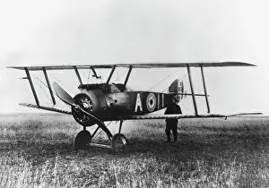 Single Seat: Sopwith Camel F-1