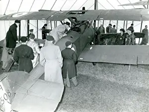 Proved: The Sopwith Camel of the Nash Collection proved very pop