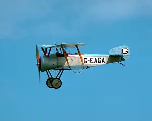 Biggleswade: Sopwith Dove