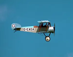 Biggleswade: Sopwith Dove