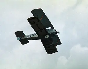 Biggleswade: Sopwith Dove