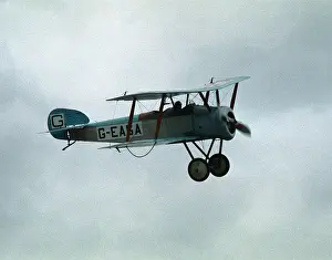 Biggleswade: Sopwith Dove