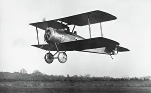 Eglb: Sopwith Dove