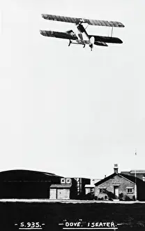Eglb: Sopwith Dove
