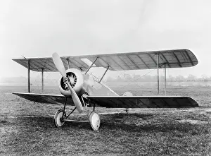 Tail Dragger: Sopwith Dove