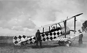 Tail Dragger: Sopwith Dove