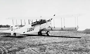 Tail Dragger: Sopwith Dove