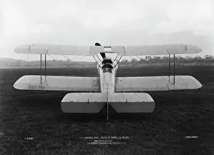 Tail Dragger: Sopwith Dove