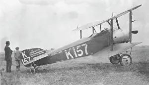 Tail Dragger: Sopwith Dove