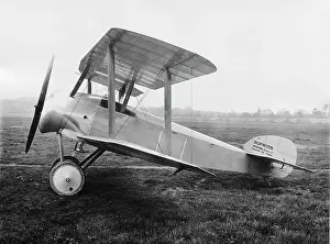 Tail Dragger: Sopwith Dove