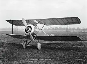 Tail Dragger: Sopwith Dove