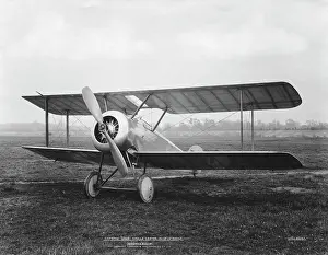 Tail Dragger: Sopwith Dove