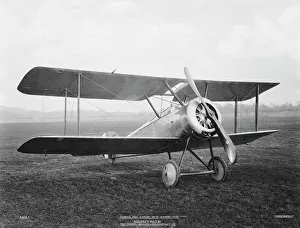 Tail Dragger: Sopwith Dove