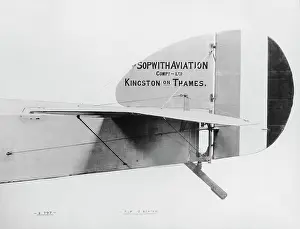 Tail Dragger: Sopwith Dove