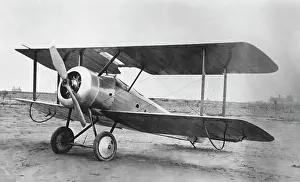 Tail Dragger: Sopwith Dove