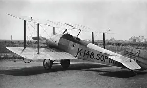Tail Dragger: Sopwith Dove