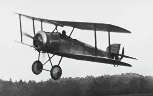 Tail Dragger: Sopwith Dove