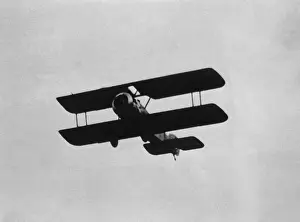 Tail Dragger: Sopwith Dove