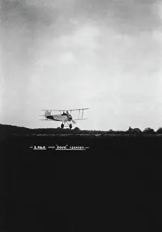 Tail Dragger: Sopwith Dove