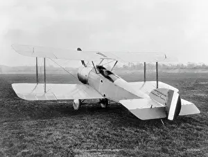 Tail Dragger: Sopwith Dove