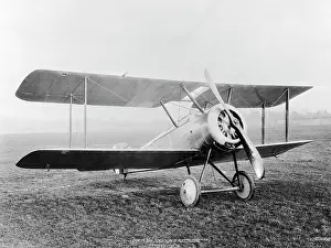 Tail Dragger: Sopwith Dove