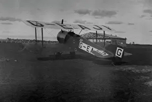 Tail Dragger: Sopwith Dove