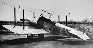Tail Dragger: Sopwith Dove