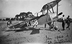 Tail Dragger: Sopwith Dove