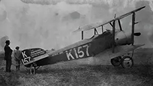 Tail Dragger: Sopwith Dove