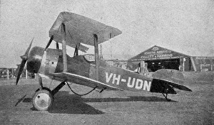 Tail Dragger: Sopwith Dove