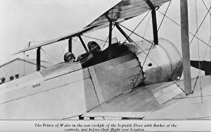 Tail Dragger: Sopwith Dove