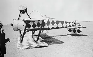 Tail Dragger: Sopwith Dove