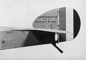 Rudders: Sopwith Dove