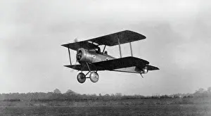 Tail Dragger: Sopwith Dove