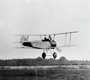 Tail Dragger: Sopwith Dove