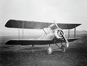 Tail Dragger: Sopwith Dove