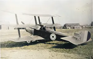 Suiza: Sopwith Hispano -Suiza Triplane of which only two were?