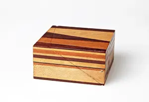 Strata: Sopwith Model XI: Vertical intersecting veins