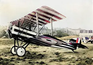 Individualistic: Sopwith Pup of the RFC sporting an individualistic live?