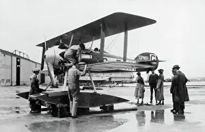 Tabloid: Sopwith Schneider