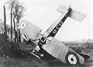Petite: Sopwith Strutter plane crashed in airfield, France, WW1